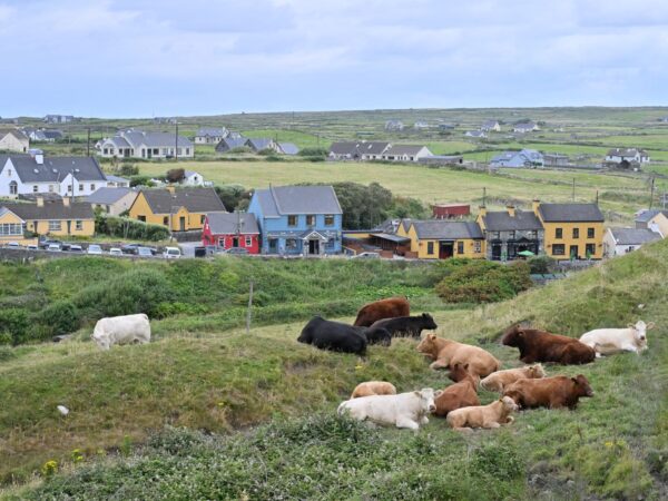 Traslado privado: origen Aeropuerto de Shannon, destino Doolin