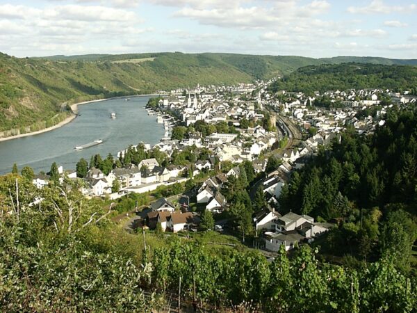 Private Transfer: Heidelberg to Boppard