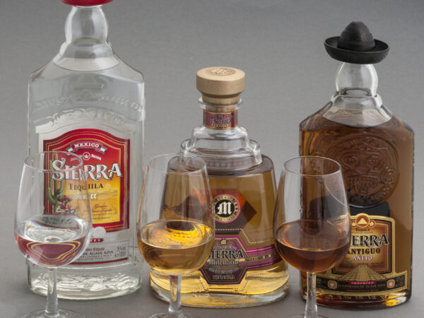Private Transfer: Punta Mita to Tequila