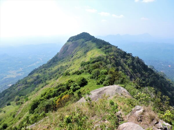 Private Transfer: Kandy to Ihalakotte