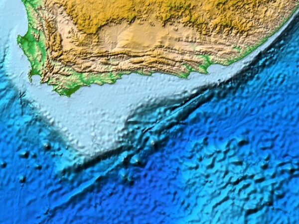 Transfert privé : Le Cap → L'Agulhas
