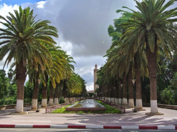 Traslado privado: origen Taghazout, destino Taroudant