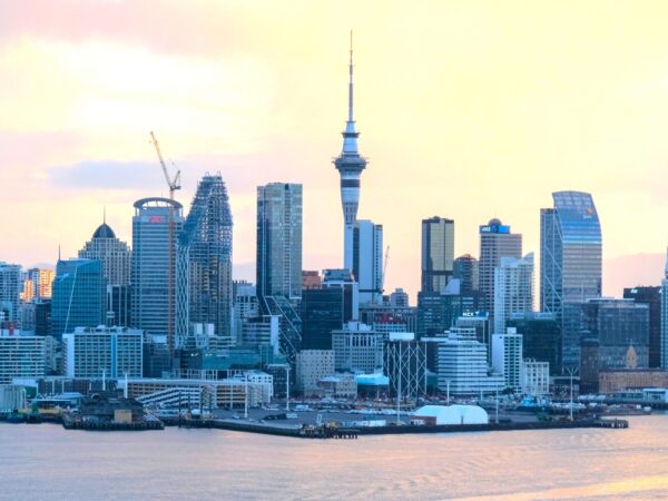 Transfer privado entre Napier e Auckland