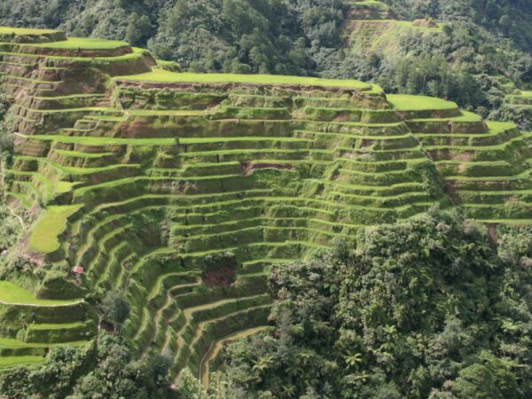 Privattransfer: Baguio – Reisterrassen von Banaue