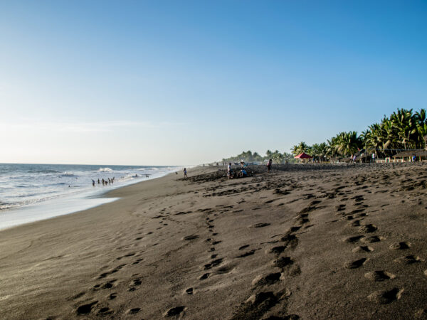Privattransfer: Coban – Monterrico
