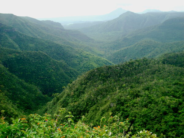 Traslado privado: origen Parque Nacional de las Gargantas del Río Negro, destino Aeropuerto de Mauricio