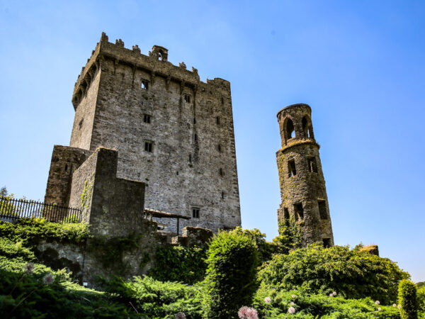 Privattransfer: Flughafen Dublin – Blarney Stone