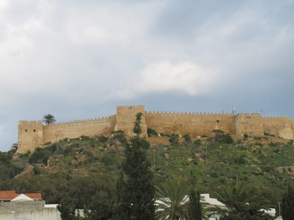 Private Transfer: Tunis to Kelibia