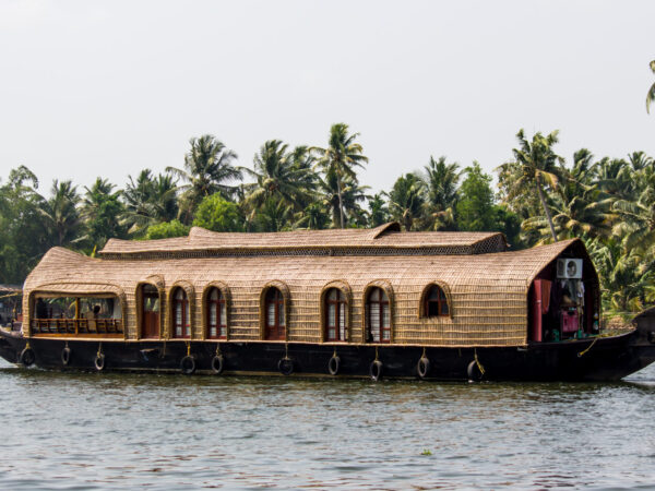 Privattransfer: Internationaler Flughafen Kochi – Vagamon