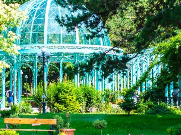 Private Transfer: Batumi to Tbilisi