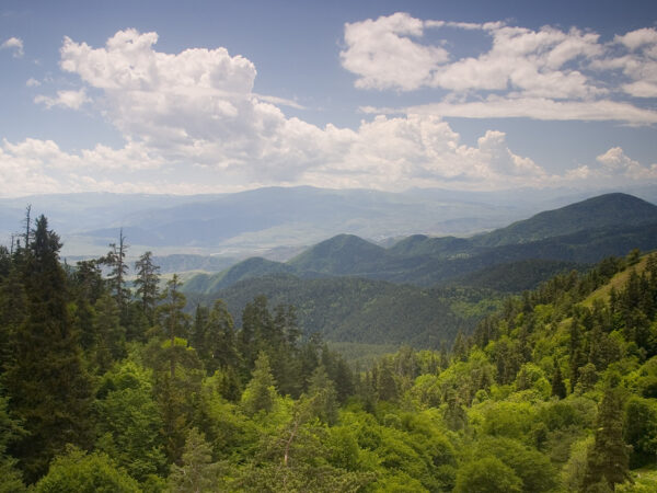 Privattransfer: Batumi – Goderdzi Resort