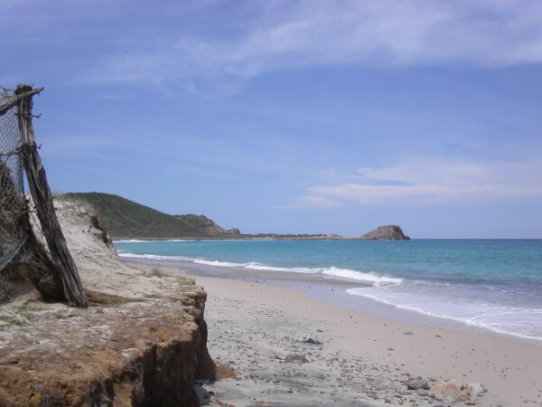 Private Transfer: Los Cabos International Airport to Cabo Pulmo National Park