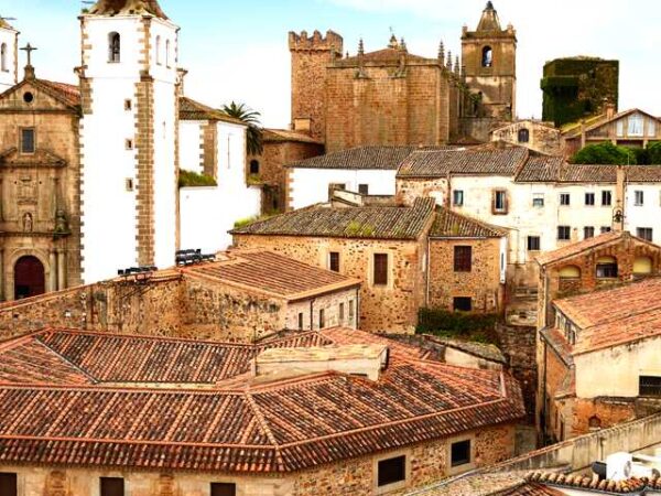 Private Transfer: Merida to Seville
