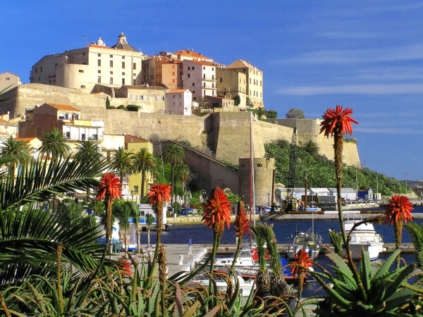 Private Transfer: Calvi to Bastia