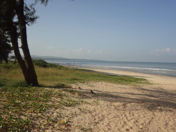 Traslado privado: origen Mapusa, destino Cavelossim