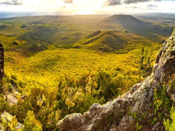 Transfert privé : Grote Berg Curacao → William Town