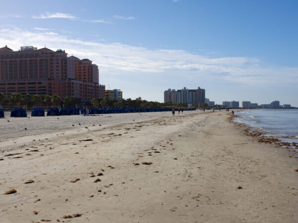 Private Transfer: Clearwater Fl to Orlando International Airport