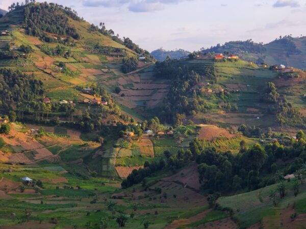 Traslado privado: origen Aeropuerto de Kigali Rw, destino Kisoro