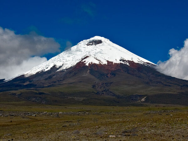 Traslado privado: origen Quito, destino Parque Nacional Cotopaxi