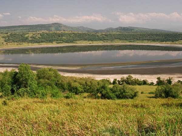 Private Transfer: Entebbe to Queen Elizabeth National Park