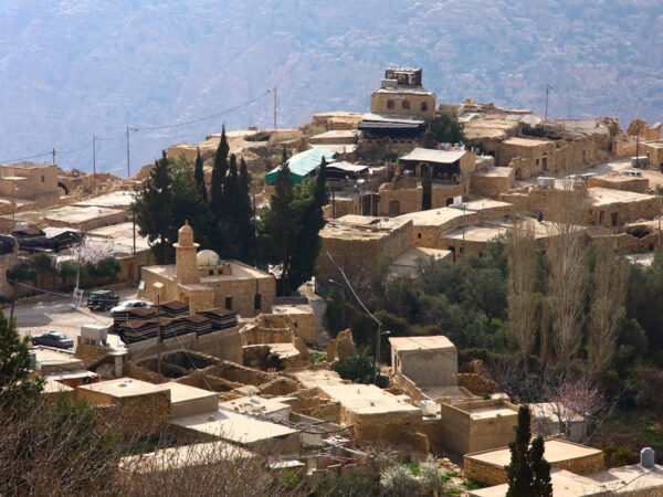 Privattransfer: Hafen Aqaba – Dana