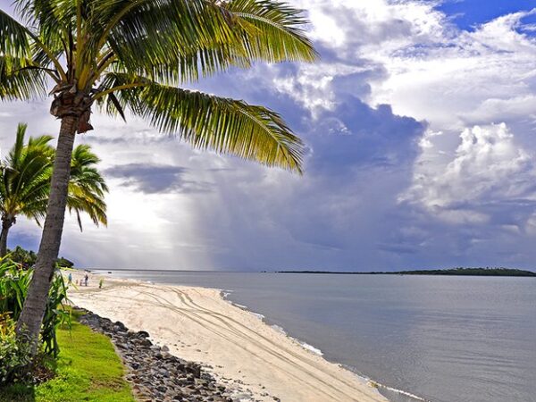 Transfert privé : Pacific Harbour → Denarau