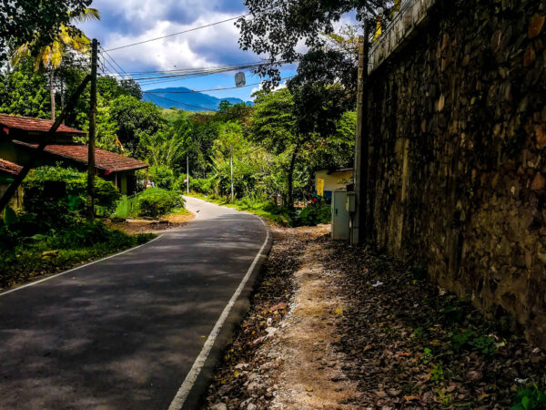 Private Transfer: Kandy to Digana