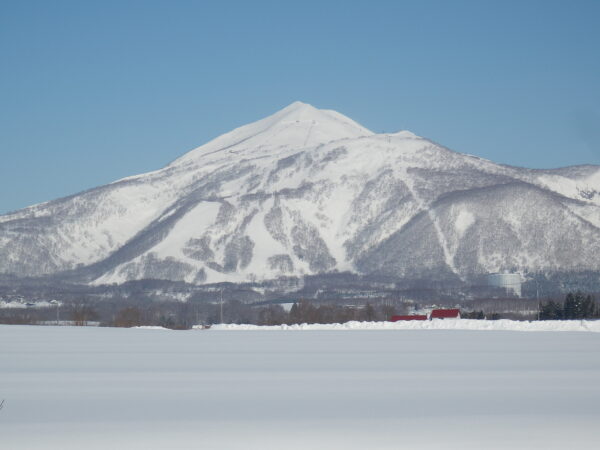 Traslado privado: origen Aeropuerto de Nuevo Chitose, destino Niseko