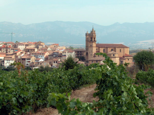 Private Transfer: Madrid Airport to Elciego