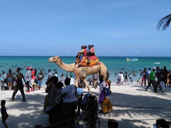 Transfert privé : Aéroport international Moi Mombasa → Plage de Bamburi