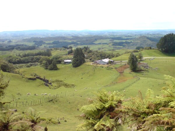 Transfer privado entre Aeroporto de Auckland e Waitomo