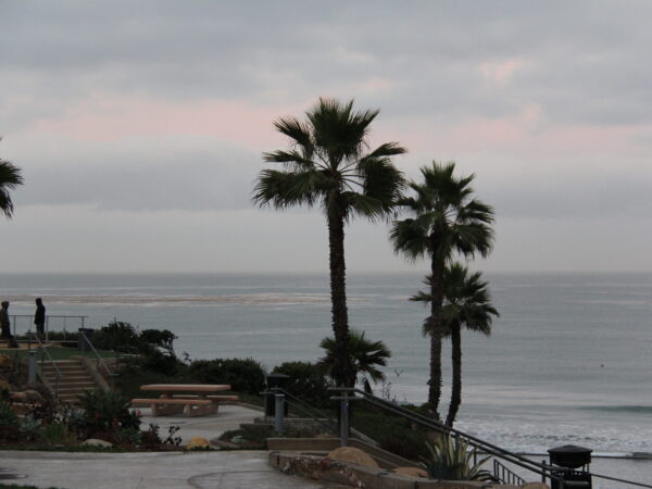 Private Transfer: Long Beach Ca to Solana Beach Ca