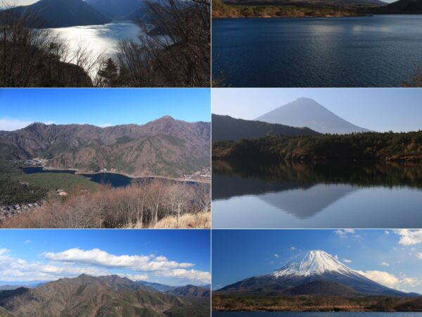 Private Transfer: Tokyo to Lake Kawaguchi