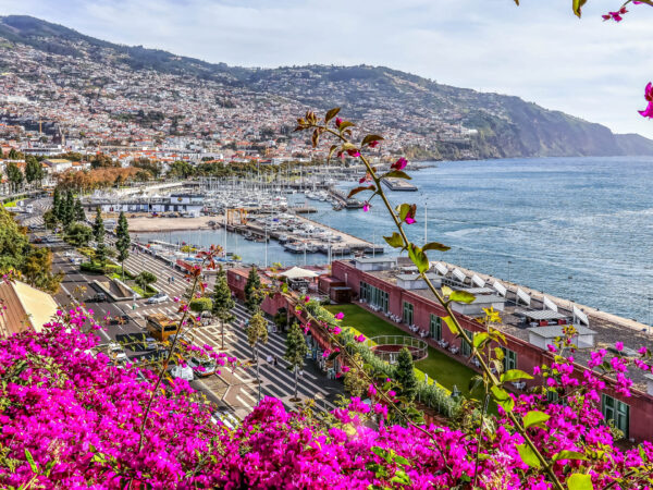 Private Transfer: Madeira Airport to Jardim Do Mar