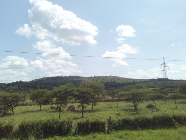 Traslado privado: origen Fort Portal, destino Lyantonde