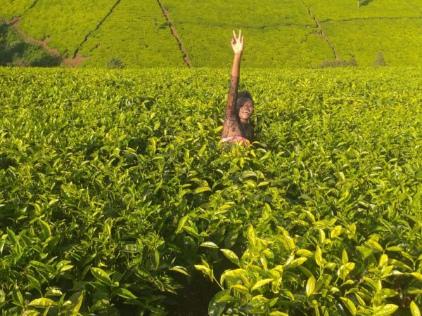 Traslado privado: origen Nakuru, destino Limuru