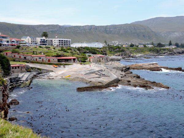 Transfert privé : Aéroport international du Cap → Hermanus