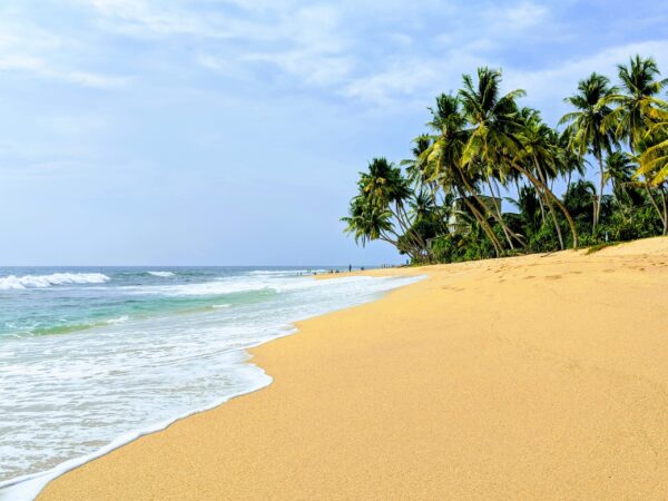 Transfert privé : Unawatuna → Ratmalana