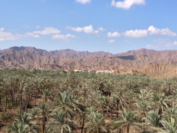 Transfer privado entre Doha Qa e Fujairah