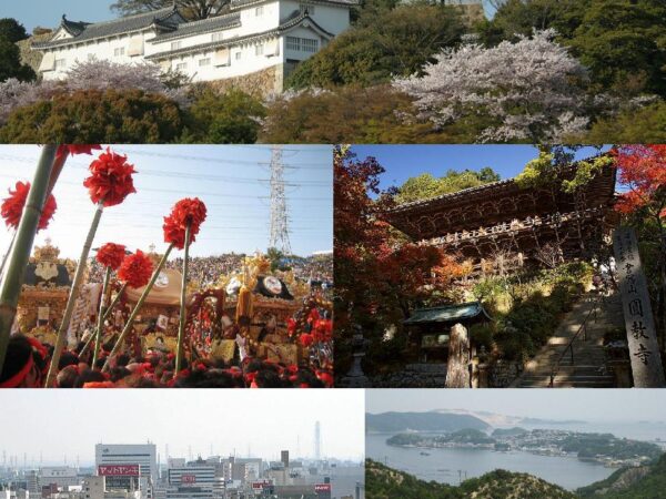 Transfert privé : Himeji → Aéroport international du Kansai