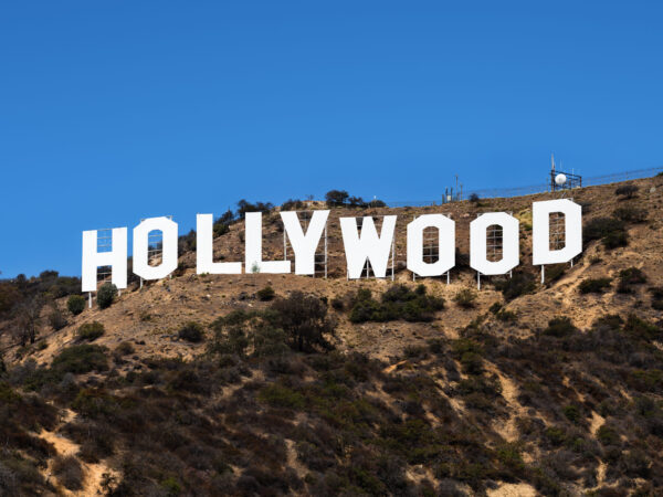 Private Transfer: Encinitas to Los Angeles