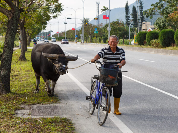 Private Transfer: Kaohsiung to Qingjing Farm