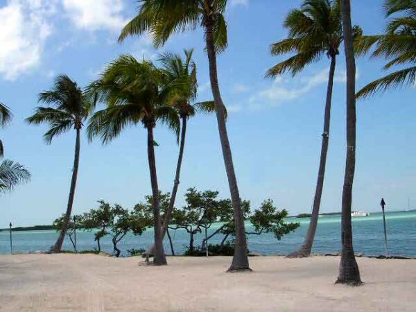 Private Transfer: Islamorada Fl to Fort Lauderdale Hollywood International Airport