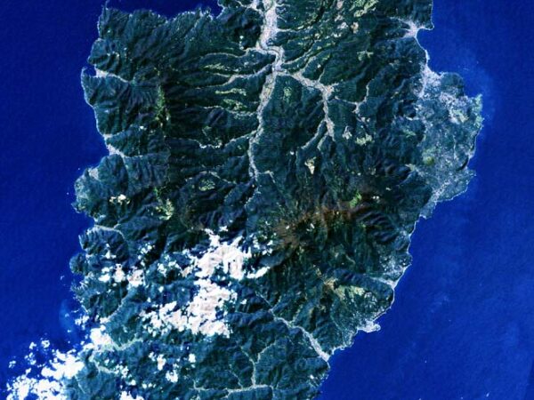 Private Transfer: Izu to Narita International Airport Japan
