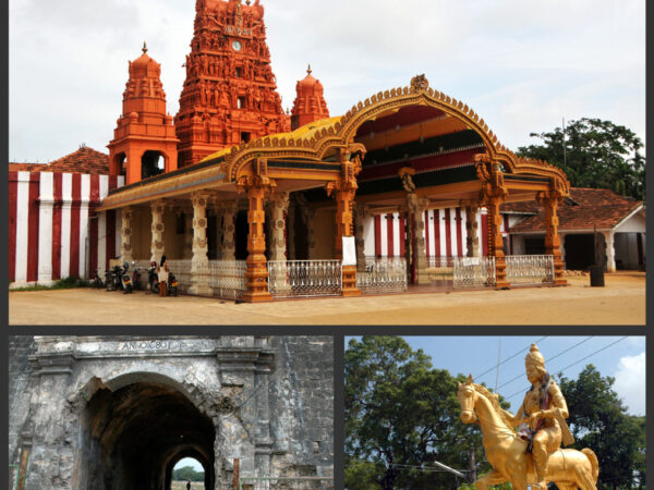 Transfert privé : Aéroport international Bandaranaike → Jaffna