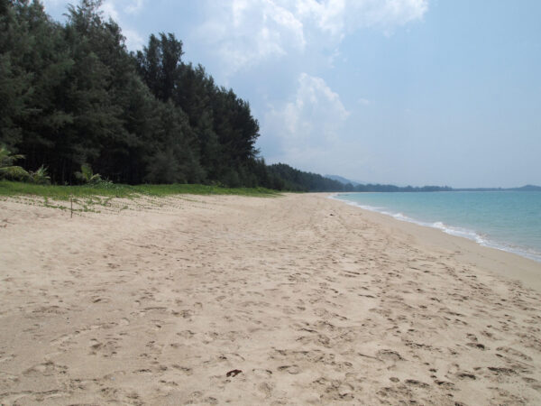 Transfert privé : Karon → Khao Lak
