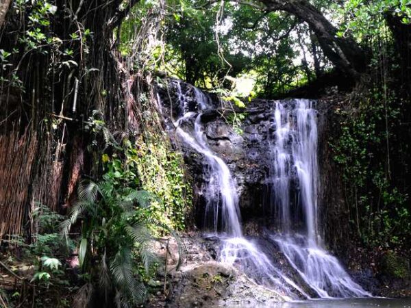 Transfer privado entre Migny Santa Lúcia e Castries