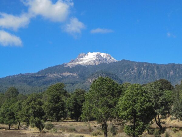 Private Transfer: Cuernavaca to Tlaxcala