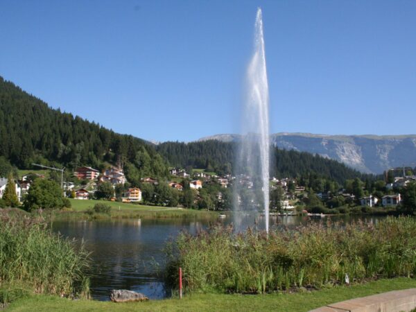 Privattransfer: Flughafen Zürich – Laax