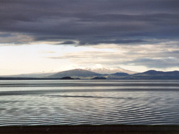 Traslado privado: origen Wellington, destino Taupo